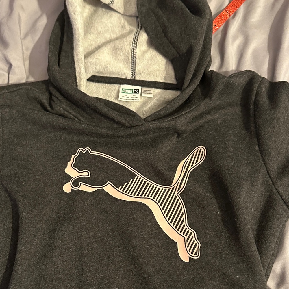 Puma Gray Hoodie with White Logo